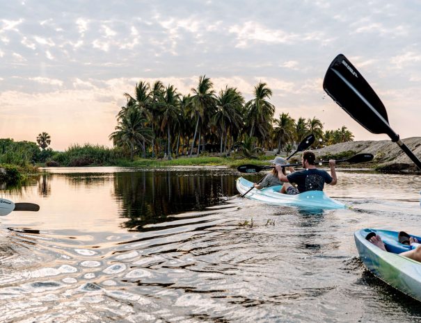 mangrove-kayaking-tour-puerto-escondido-scaled